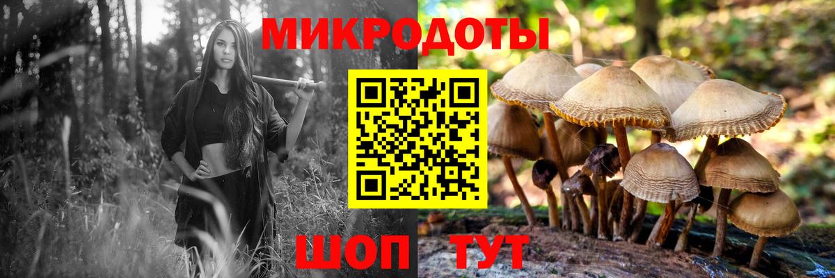 Заволжье  Галлюциногенные грибы мухоморы  Вход с VPN 